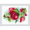 Riolis Kryželių siuvinėjimo rinkinys "Saldus Granatas" 30x21 SR2175