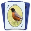 Kiti Prekiniai Zenklai Dragonhawk Publishing Feathered Omens Spiritual Kortos