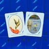 Kiti Prekiniai Zenklai Dragonhawk Publishing Feathered Omens Spiritual Kortos