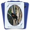 Kiti Prekiniai Zenklai Dragonhawk Publishing Feathered Omens Spiritual Kortos