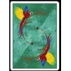 Kiti Prekiniai Zenklai Infinity Playing Cards kortos Difatta