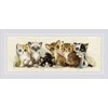 Riolis Kryželio siūlų rinkinys "Kačiukai" 40x15 SR2180