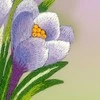 Riolis Siuvinejimo rinkinys SRPT-0065