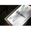 Vervaco Verachtert Nv Kryželiu siuvinėjimo rinkinys LMV Dragonfly 27x19 cm PN/0165453