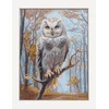 Riolis Kryželio rinkinys "Wildwood Owl" 30x40 cm SRA1016