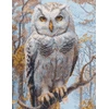 Riolis Kryželio rinkinys "Wildwood Owl" 30x40 cm SRA1016