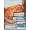 Letistitch Kryželiu siuvinėjimo rinkinys „Popietinis miegas“ 18x24cm SLETIL8095