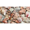 Ancient Wisdom Light Jasper - Brecciated Akmuo (12 Vnt. M Dydžio)