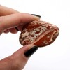 Ancient Wisdom Light Jasper - Brecciated Akmuo (6 Vnt. L Dydžio)