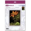 Riolis Kryželiu siuvinėjimo rinkinys Lily and Lime 15x21 SR2097