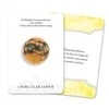 Crystal Intentions Oracle Kortos Llewellyn