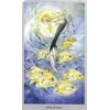 Llewellyn Shadowscapes Taro Kortos Ir Knyga (rinkinys)