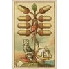 Lo Scarabeo Medieval Fortune Telling Kortos