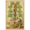 Lo Scarabeo Medieval Fortune Telling Kortos