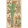 Lo Scarabeo Tarot de Marseille Gassmann riboto leidimo taro kortos kolekcininkams