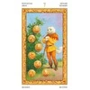 Lo Scarabeo Tarot Of Baltas Cats Kortos