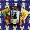 Lo Scarabeo Tarot Of Pagan Cats Kortos