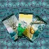 Lo Scarabeo Tarot Of The Dream Enchantress Kortos