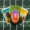Lo Scarabeo Tarot Of The Magical Forest Kortos