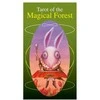 Lo Scarabeo Tarot Of The Magical Forest Kortos