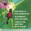 Hay House Louise Hay Affirmations For Forgiveness Kortos