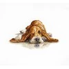 luca S Basset SB2341