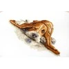 luca S Basset SB2341