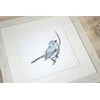 luca S Bluebird SB1158