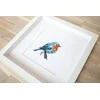 luca S Bluebird SB1167