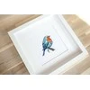 luca S Bluebird SB1167