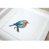 luca S Bluebird SB1167