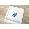 luca S Bluebird SB1167