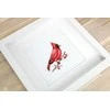 luca S Cardinal SB1156