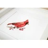 luca S Cardinal SB1156