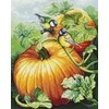 Luca-S kryželių siuvinėjimo rinkinys „Paukšteliai ant moliūgo“, 26×32 cm