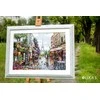 luca S Paris in Flowers SB2365