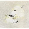 Luca-s The Bears SB2307