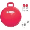 LUDI šokinėjimo kamuolys, raudonas 55 cm