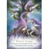 Hay House Magic Of Unicorns Oracle Kortos