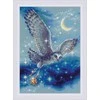 Magic Owl siuvinėjimo rinkinys iš RIOLIS Nr.: 1872
