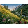 Magical Valley 1000 Piece Puzzle - RAVENSBURGER dėlionė