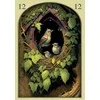 Lo Scarabeo Orakulo kortų rinkinys - Viduramžių Lenormand 36 Kortų su Gido Knyga 88 x 125 mm