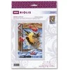 Riolis Susitikimas prie lango 21x30 SR2049