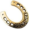 Mirtop Žalvarinė pasaga 7 cm „Good Luck“ – laimės talismanas namams