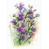 MP Studia Beldizart Gaivumo Serenada SA-035