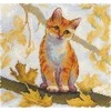 MP Studia Kryželiu siuvinėjimo rinkinys „Pūkuota ryža katė“ 19x19 cm SNV-908