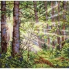 MP Studia Siuvinėjimo kryželiu rinkinys „Saulėtas miškas“, 20x20 cm peizažas