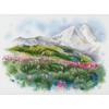 MP Studia Beldizart Vasara ant Elbruso SA-044