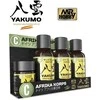 Mr Hobby Mr.Hobby Yakumo Afrika Korps sendinimo rinkinys WY-03 (emaliai, pigmentas)