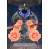Muse Oracle Press Oracle kortų rinkinys - Mystic's Imaginarium 44 Kortų Rinkinys Gidas